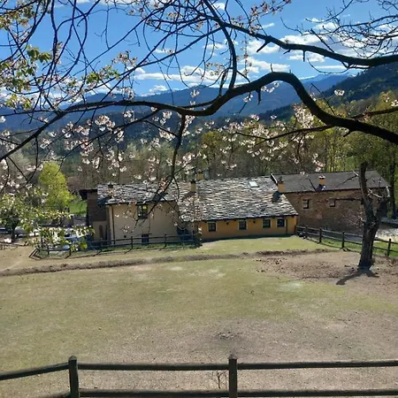 Le Gaie Allegre Villar San Costanzo